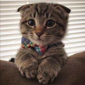 Meet your Posher, Eduardo